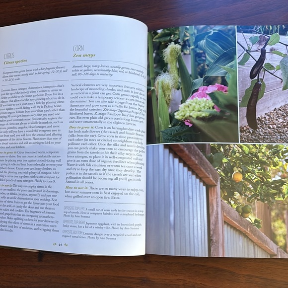 The Edible Front Yard. The Mow Less, Grow More Plan for a Bountiful Garden - Picture 8 of 16